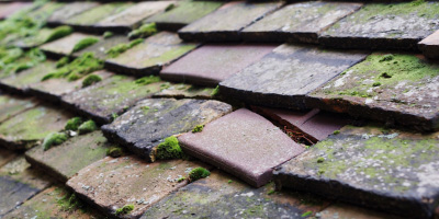 Woughton roof repair costs